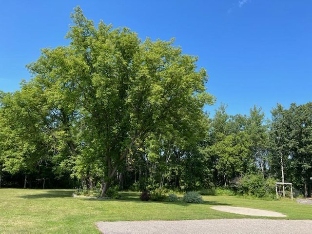 37165 County 7, Bagley, MN 56621