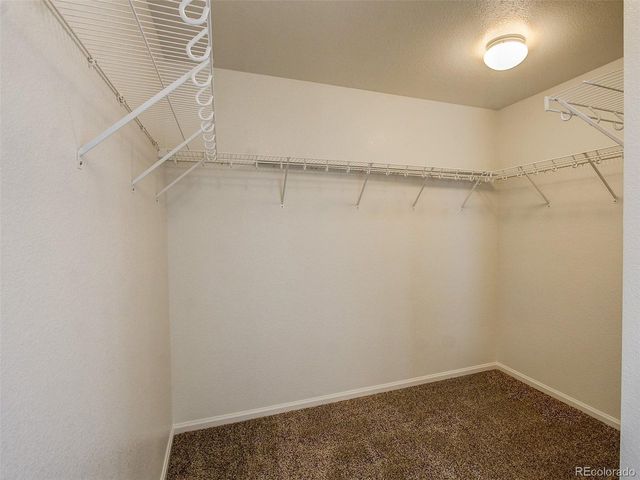 6089 Turnstone Pl, Castle Rock, CO 80104