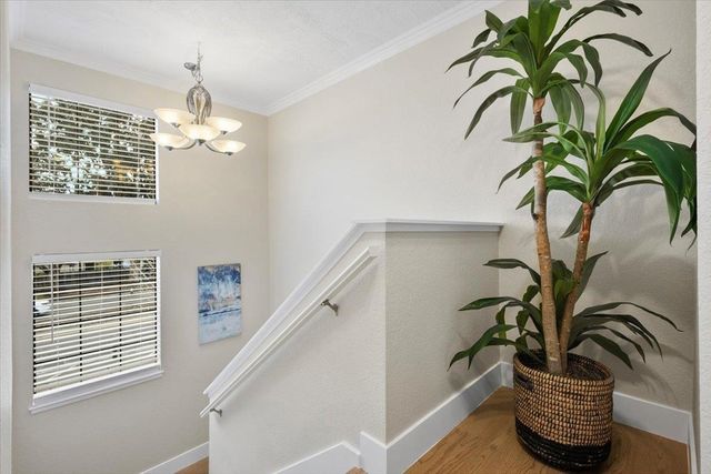 43163 Grimmer Ter, Fremont, CA 94538