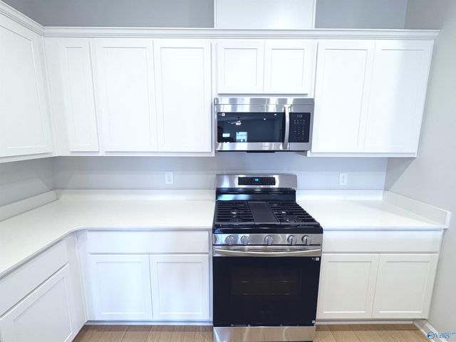 161 Little Britain Street, Madison, AL 35758