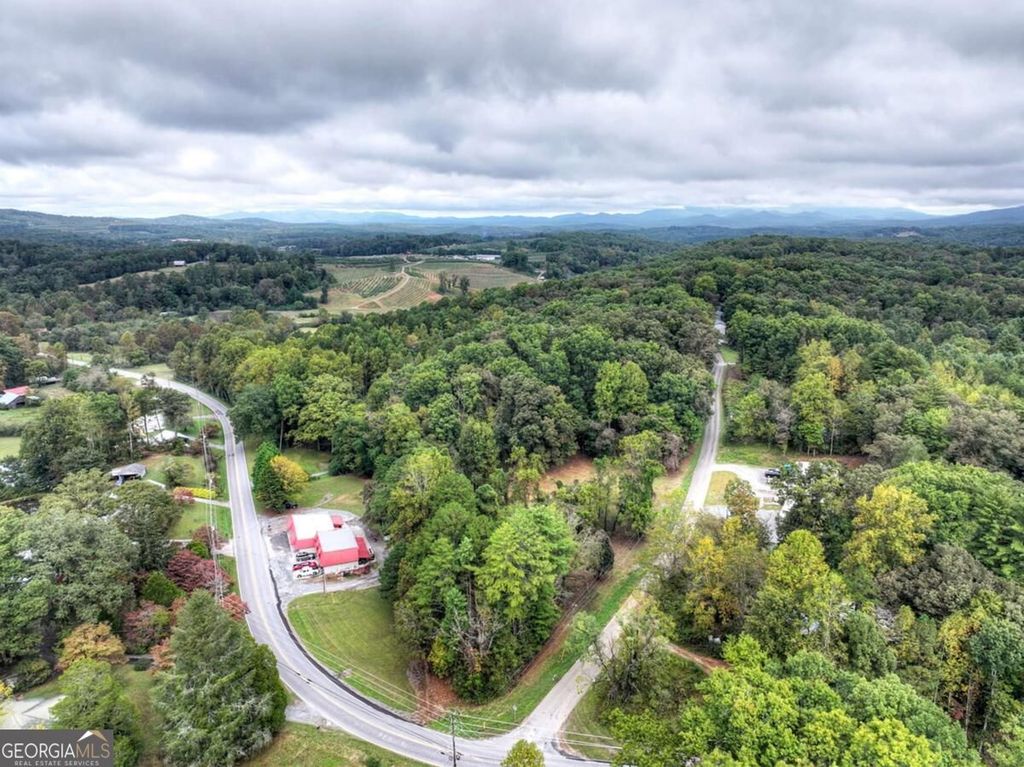 TR 2 Davis Road, Blue Ridge, GA 30513 — exterior