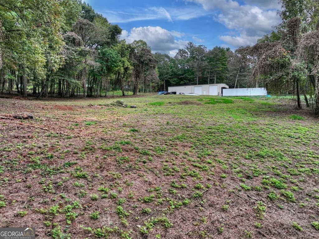 TR 2 Davis Road, Blue Ridge, GA 30513 — photo 4