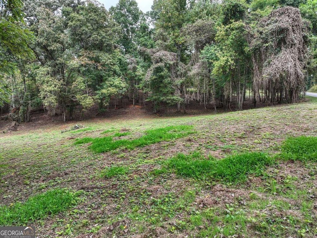 TR 2 Davis Road, Blue Ridge, GA 30513 — photo 5