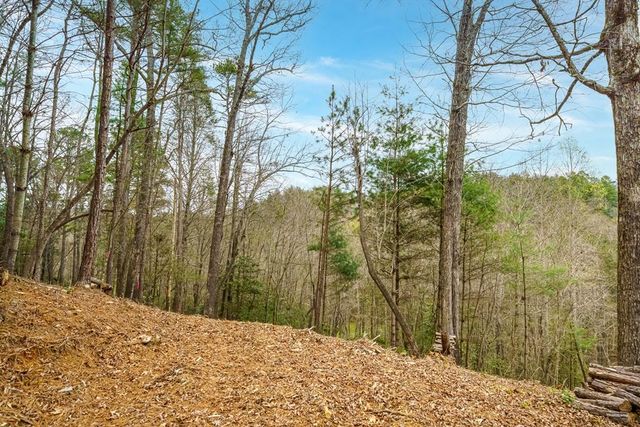 0 Red Oak Trail, Ellijay, GA 30540