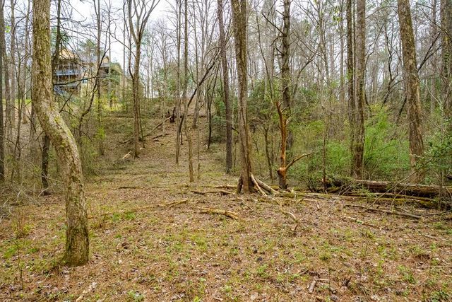0 Red Oak Trail, Ellijay, GA 30540