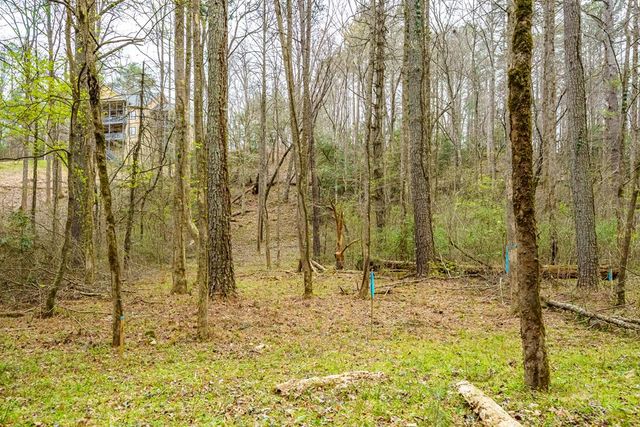 0 Red Oak Trail, Ellijay, GA 30540