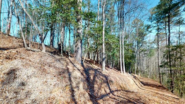 0 Red Oak Trail, Ellijay, GA 30540