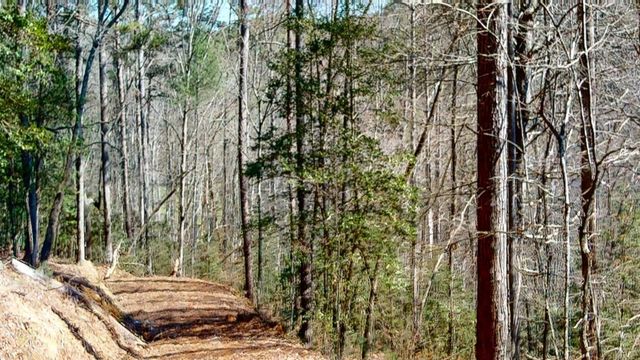 0 Red Oak Trail, Ellijay, GA 30540