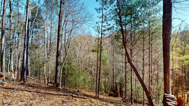 0 Red Oak Trail, Ellijay, GA 30540