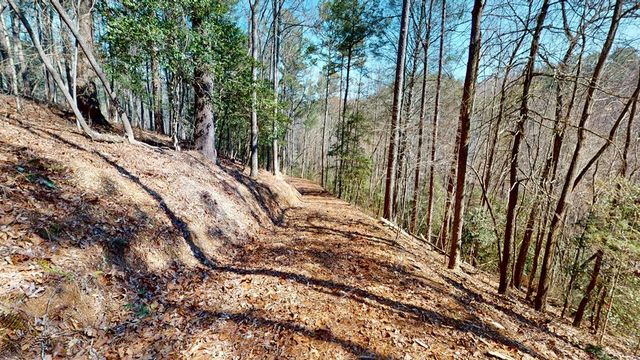 0 Red Oak Trail, Ellijay, GA 30540