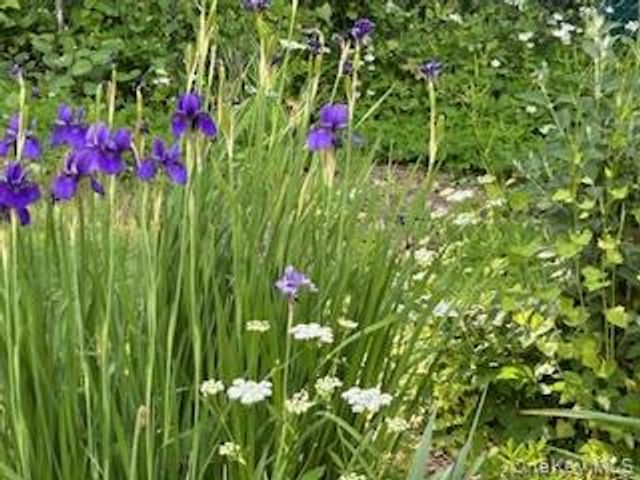 31 Wilson Boulevard, Poughkeepsie, NY 12603