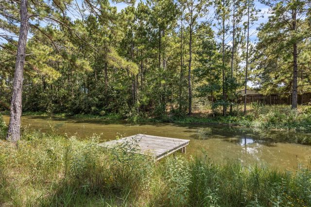 23064 Volga Drive, Porter, TX 77365