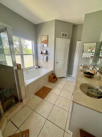 10802 CELTIC WOODS AVENUE, Tampa, FL 33647