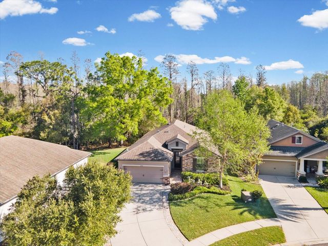 8531 MAY PORT COURT, Land O Lakes, FL 34638