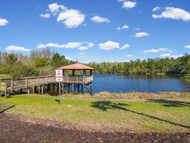 8531 MAY PORT COURT, Land O Lakes, FL 34638