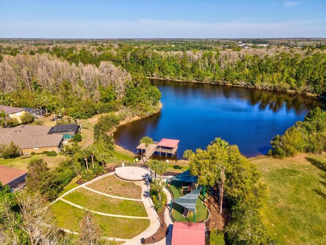 8531 MAY PORT COURT, Land O Lakes, FL 34638