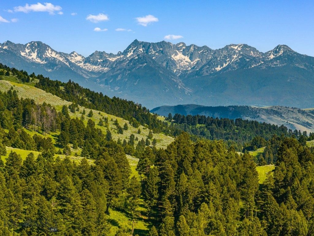 755 Coffee Creek Road, Bozeman, MT 59715 photo 31