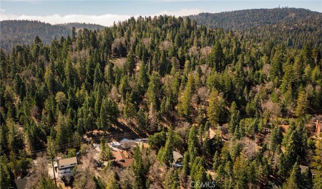 26980 Everest, Lake Arrowhead, CA 92317