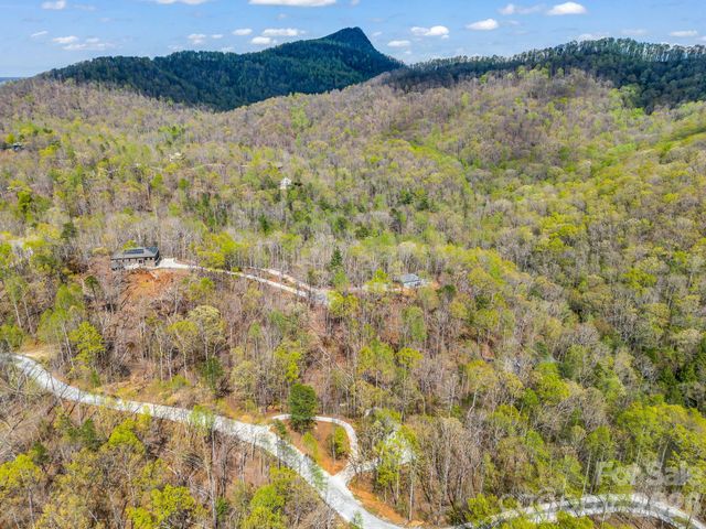 780 Rixhaven Drive, Saluda, NC 28773