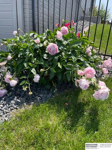 12462 Pheasant Run Lane, Papillion, NE 68046