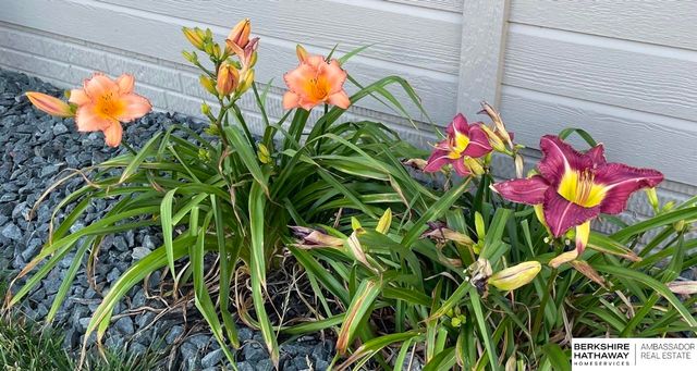 12462 Pheasant Run Lane, Papillion, NE 68046