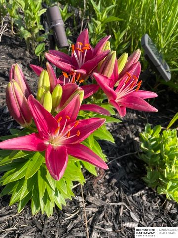 12462 Pheasant Run Lane, Papillion, NE 68046