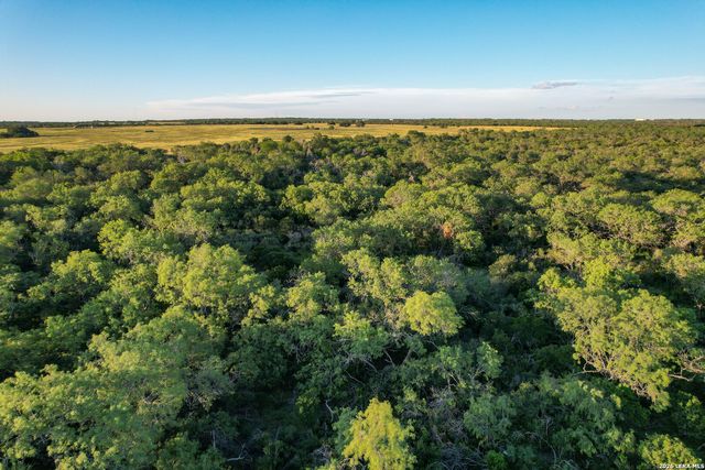 TBD CR 426, Pleasanton, TX 78064