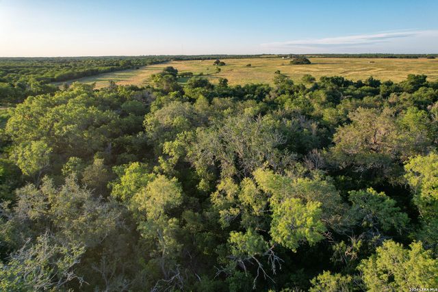 TBD CR 426, Pleasanton, TX 78064