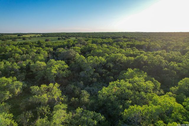 TBD CR 426, Pleasanton, TX 78064