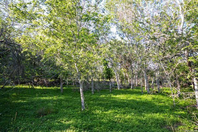 TBD CR 426, Pleasanton, TX 78064