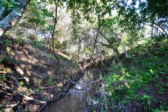 TBD CR 426, Pleasanton, TX 78064