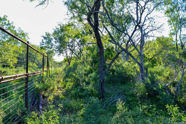 TBD CR 426, Pleasanton, TX 78064