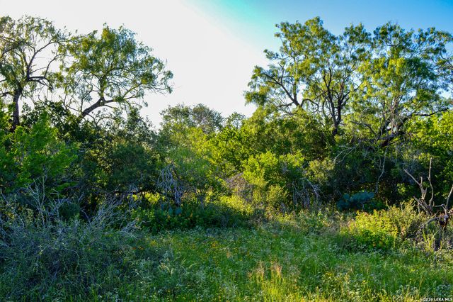 TBD CR 426, Pleasanton, TX 78064