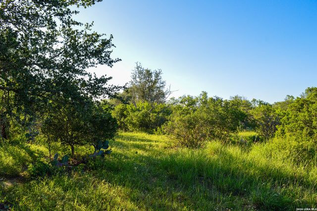 TBD CR 426, Pleasanton, TX 78064