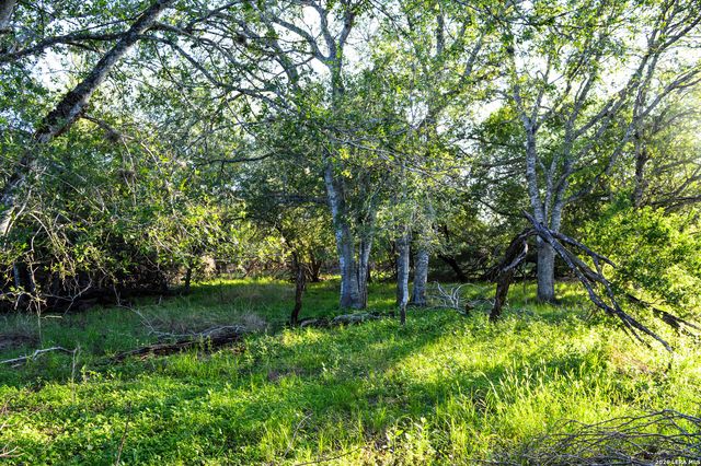 TBD CR 426, Pleasanton, TX 78064