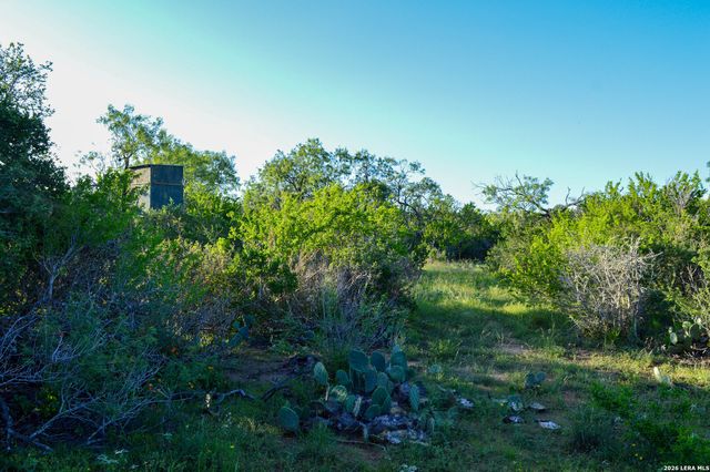 TBD CR 426, Pleasanton, TX 78064