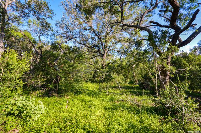 TBD CR 426, Pleasanton, TX 78064