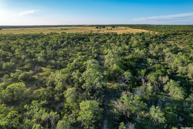 TBD CR 426, Pleasanton, TX 78064