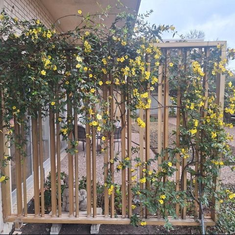 6211 W Northwest Highway G112, Dallas, TX 75225