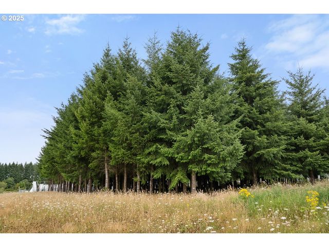 -1 Se TRUBEL Rd, Sandy, OR 97055