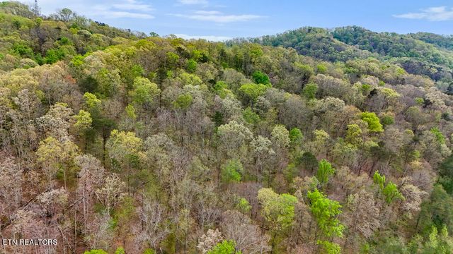 Pumpkin Hollow Rd, Heiskell, TN 37754