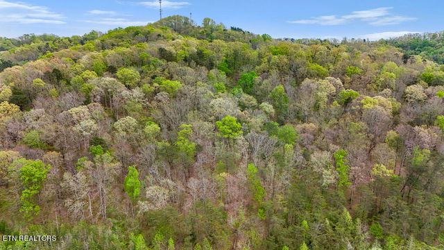 Pumpkin Hollow Rd, Heiskell, TN 37754