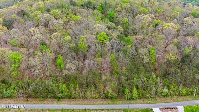 Pumpkin Hollow Rd, Heiskell, TN 37754