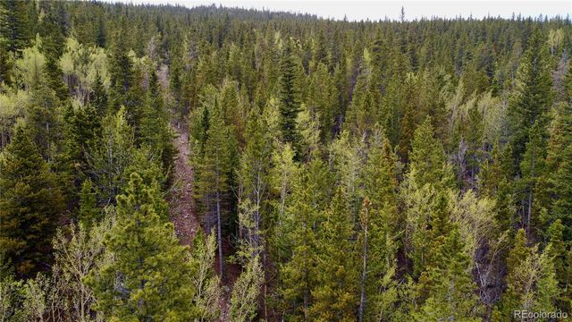 000 Hidden Wilderness Road, Evergreen, CO 80439