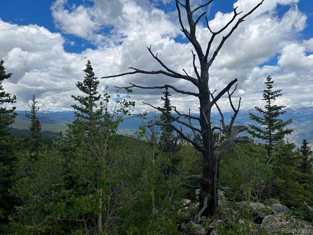 000 Hidden Wilderness Road, Evergreen, CO 80439