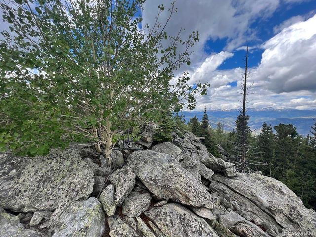 000 Hidden Wilderness Road, Evergreen, CO 80439