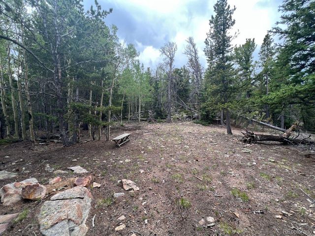 000 Hidden Wilderness Road, Evergreen, CO 80439