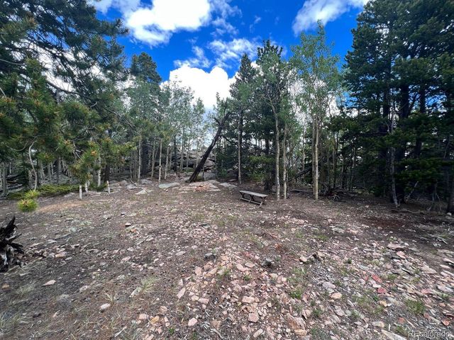 000 Hidden Wilderness Road, Evergreen, CO 80439