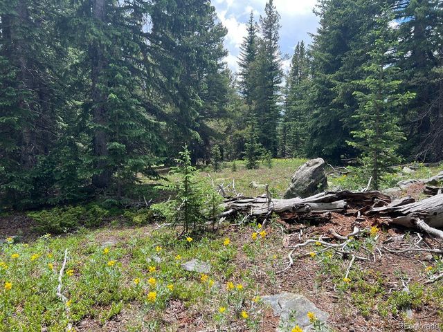 000 Hidden Wilderness Road, Evergreen, CO 80439