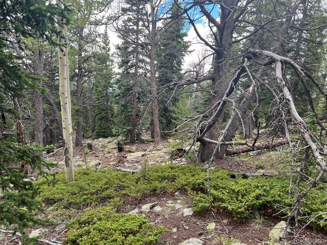 000 Hidden Wilderness Road, Evergreen, CO 80439